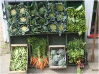 friut and veg display